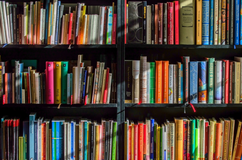 magasin-MAZAUGUES-min_books_bookstore_book_reading_shop_writer_sale_books_read-822866